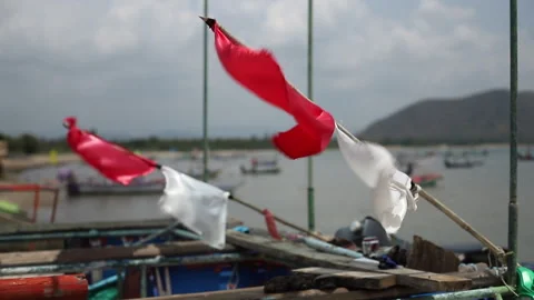 Red and white flags on the masts of ships fluttered Stock Footage 240780762