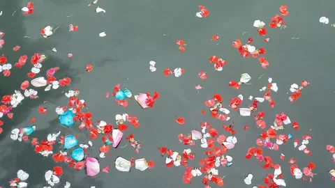 Red and white flower petals floating on dark water during a traditional rel.. Stock Footage 336006873