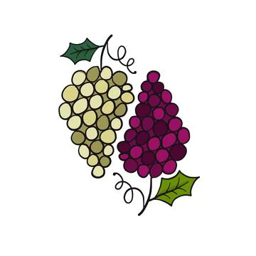 Red and white grape bunch, iso;ated on white Stock Illustration