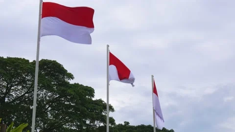 The red and white Indonesian flags fluttering in the cloudy sky Stock Footage 237814833