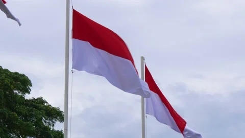 The red and white Indonesian flags fluttering in the cloudy sky Stock Footage 237814864