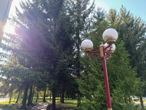 A red and white lamp post in the middle of a park Stock Photos