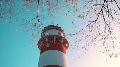 Red and white lighthouse next to a tree with yellow leaves against a clear sky Stock Footage 147405489