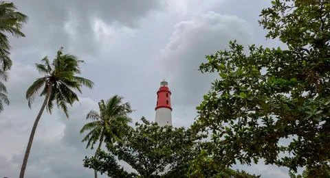 Red and White Lighthouse Standing Tall Behind Tropical Palm Trees Stock Photos