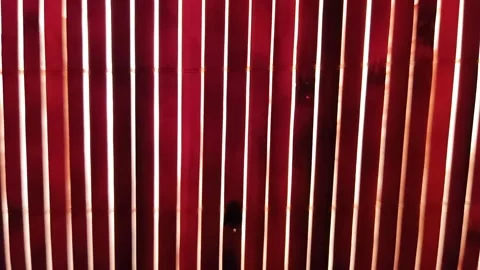 Red and white lines Stock Footage 223143810