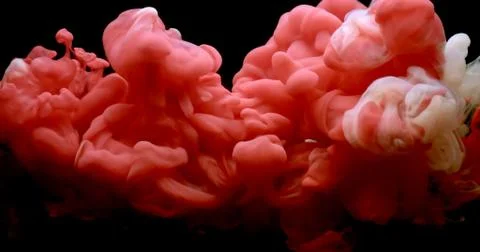 Red and white paint cloud spraying in water on black background. 库存照片