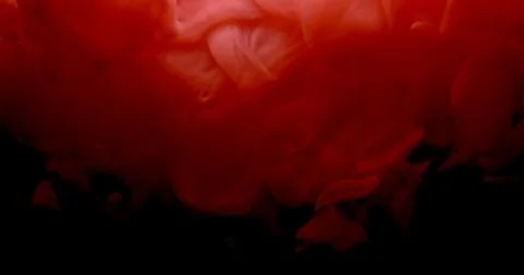 Red and white paint cloud spraying in water on black background. 스톡 사진