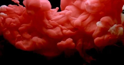 Red and white paint cloud spraying in water on black background. 库存照片