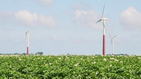 Red and white painted wind turbines in an agricultural field Stock Footage 246752159