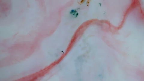 Red and white paints spread out. Video Stock Footage 123282817