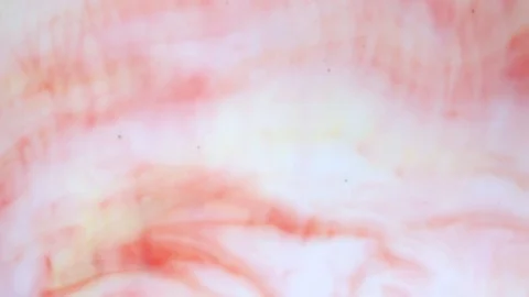 Red and white paints spread out. Video Stock Footage 123778030
