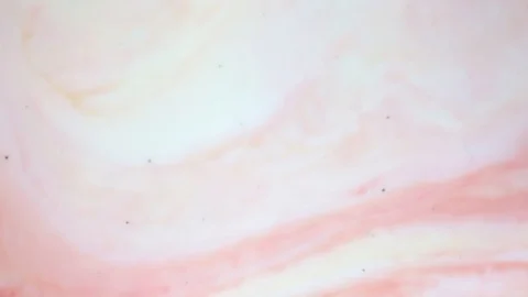 Red and white paints spread out. Video Stock Footage 123778041
