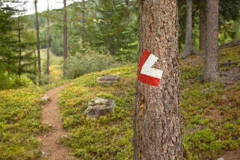 Red and white path sign painted in a stone inside a woods, in a cloudy day. Foto stock