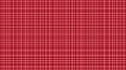 Red and white plaid pattern fills the frame Stock Footage 328542104