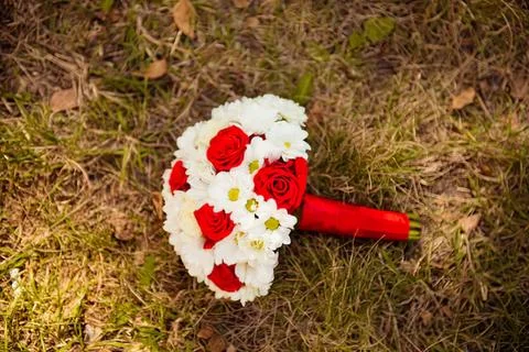 Red and white spotted mushroom growing in soil Stock Photos