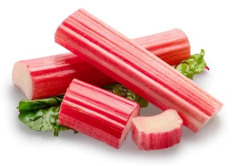 Red and white striped candy canes with green leaves Stock Photos