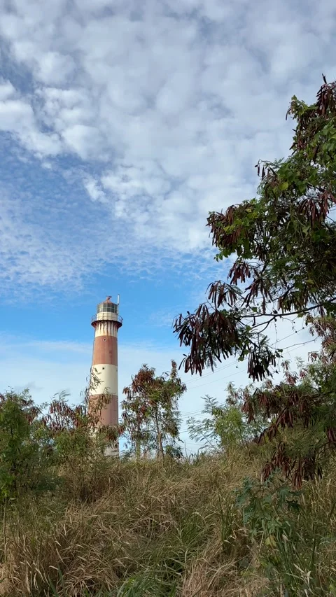 Red and White Striped Lighthouse Through Tropical Trees, Barbados Stock-Footage 337109079