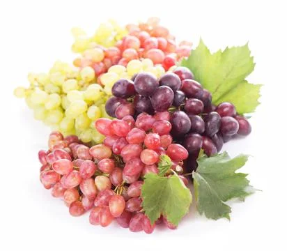 Red and white table grapes, wine grapes. Stock Photos