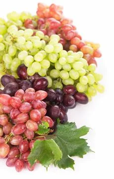 Red and white table grapes, wine grapes. Stock Photos