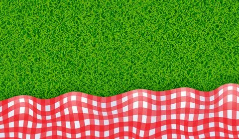 Red and white tablecloth on green grass background Stock Illustration