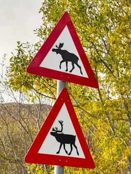 Red and white triangular road signs warning of moose and reindeer crossing,.. Stock Photos