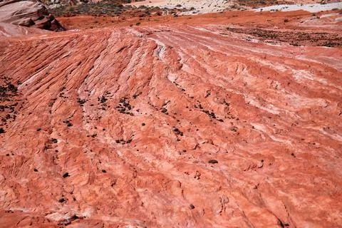 The red and white waves on the eroded field in the Valley of Fire State Park 写真素材