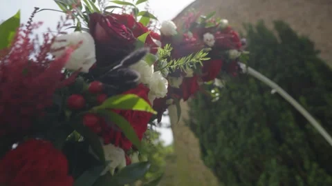 Red and White Wedding Flowers Decorate Curved Outdoor Arch in Garden Stock Footage 344090419