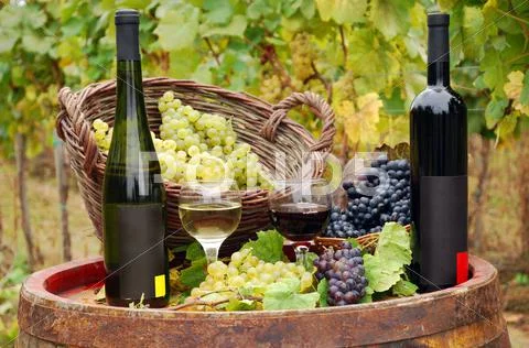 Red and white wine bottles.JPG Stock Photos
