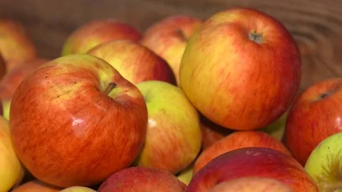 Red and yellow apples of medium size Stock Footage 99146055