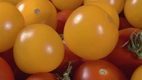 Red and yellow cherry tomatoes close up. Ripe vegetables. Miniature vegetable. Vidéo 144341496