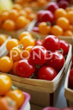 Red And Yellow Cherry Tomatoes In Wooden Baskets