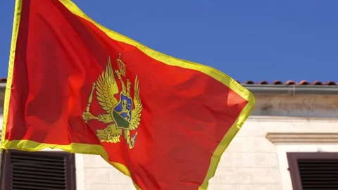 A red and yellow flag with an eagle flies in the wind against the sky Stock Footage 269119129