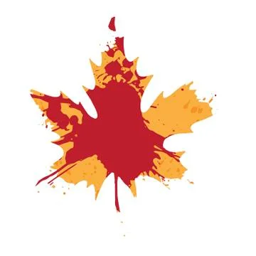 Red and yellow maple leaf isolated on a white background. Autumn element  Stock Illustration