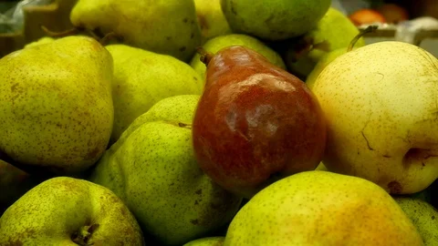 Red and yellow pears on the background of a set of green pears. Stock Footage 112665630
