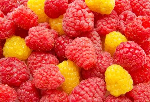 Red and yellow raspberry background Foto stock