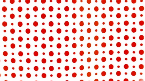 Red Animated Grid of Floating Dots Stock Footage 304920243
