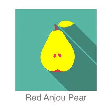 Red Anjou pear fruit flat icon, vector illustration Stock Illustration