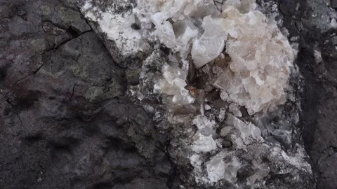 Red ant crawling on quartz crystals with slow camera movement Stock Footage 335143901