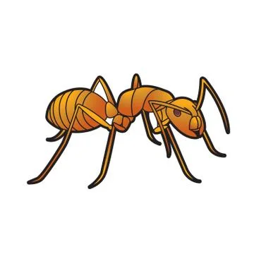 Red ant Stock Illustration