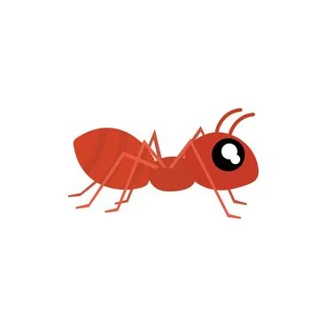 Red Ant Insect Vector Illustration Isolated on White Background Stock Illustration