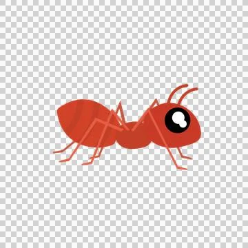 Red Ant Insect Vector Illustration Isolated on White Background Stock Illustration