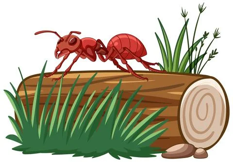 Red Ant on Log Vector Illustration Stock Illustration