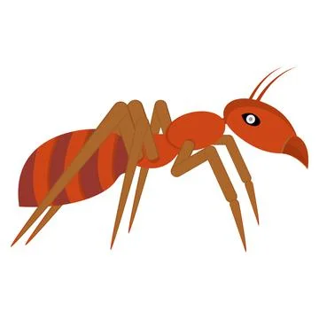 Red ant logo design. Vector illustration and clipart. Side view.  Stock Illustration