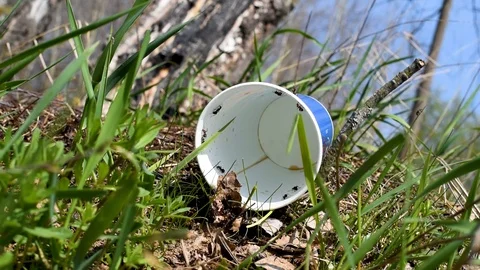Red ants eat in a plastic Cup Stock Footage 91717946