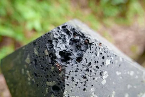 Red Ants Eroding Damaged Black Plastic Handrail Close Up Bokeh Forest Backg.. Stock Photos