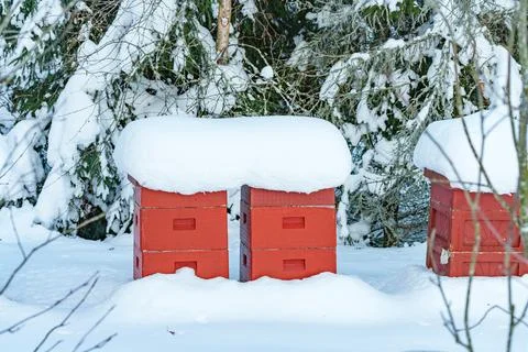 A red apiary or bee hive is covered and snow as it sits outside during the co Stock Photos
