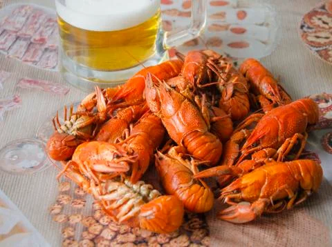 Red appetizing crawfish with beer on blurred background Stock Photos
