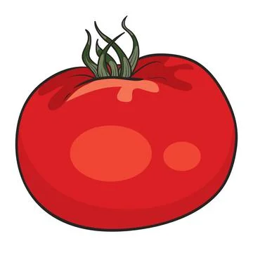 Red appetizing tomato, isolated object on white background, cartoon illustrat Stock Illustration