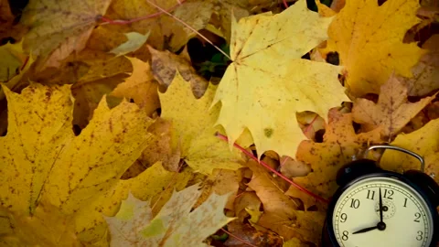 Red apple and alarm clock on colorful maple leaves on the ground. Autumn time Stock Footage 167804919