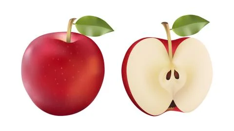 Red apple and half isolated vector illustration in modern realistic style Stock Illustration